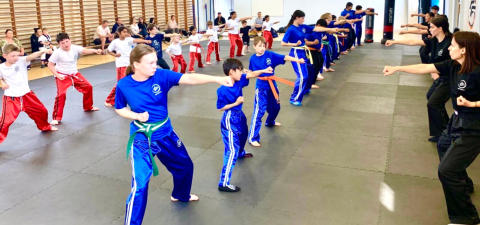 Adults, KIDS Martial Arts Classes, Surrey, Weybridge, Surbiton