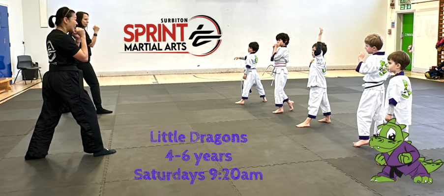Little Dragons Classes, Surbiton, Sutton, Surrey